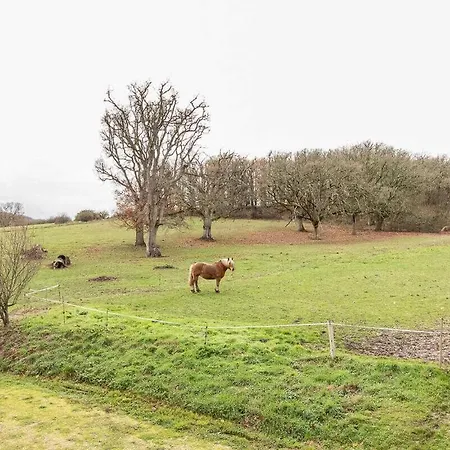 Le Gite Du Rayat Nyaraló